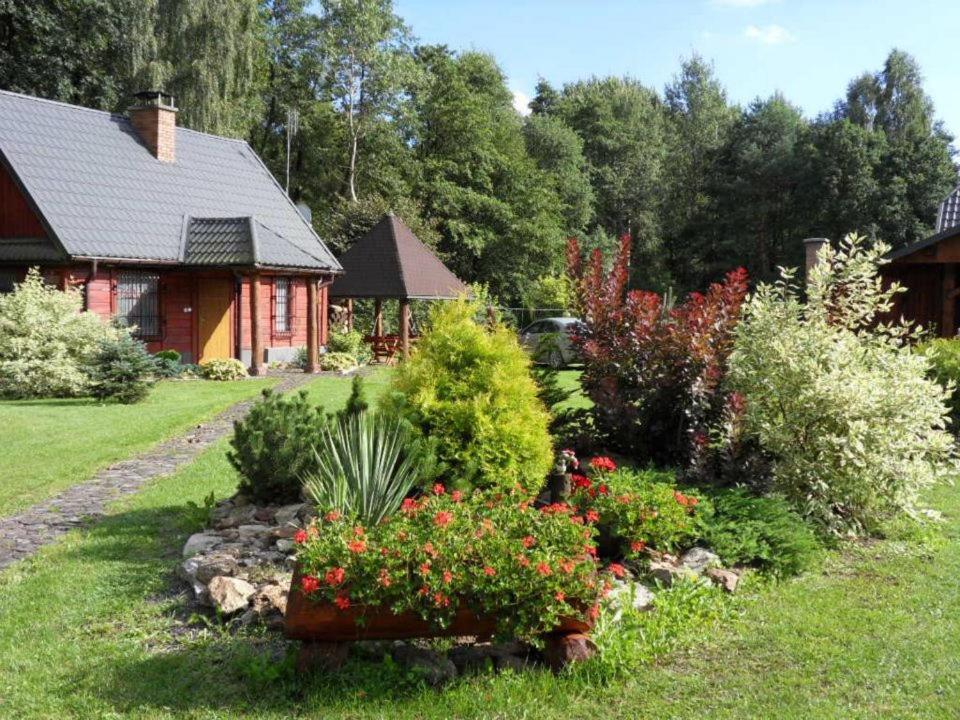 Gajówka Sajczyce - gospodarstwo agroturystyczne Chełm Exterior foto